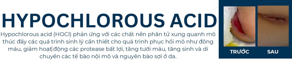 Hypochlorous acid (HOCl) phản ứng với các chất nền phân tử xung quanh mô