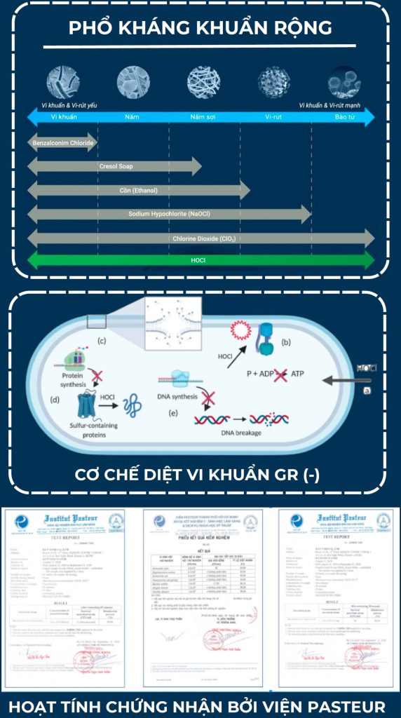 PHỔ KHÁNG KHUẨN RỘNG - CƠ CHẾ DIỆT VI KHUẨN GR - HOẠT TÍNH CHỨNG NHẬN BỞI VIỆN PASTEUR